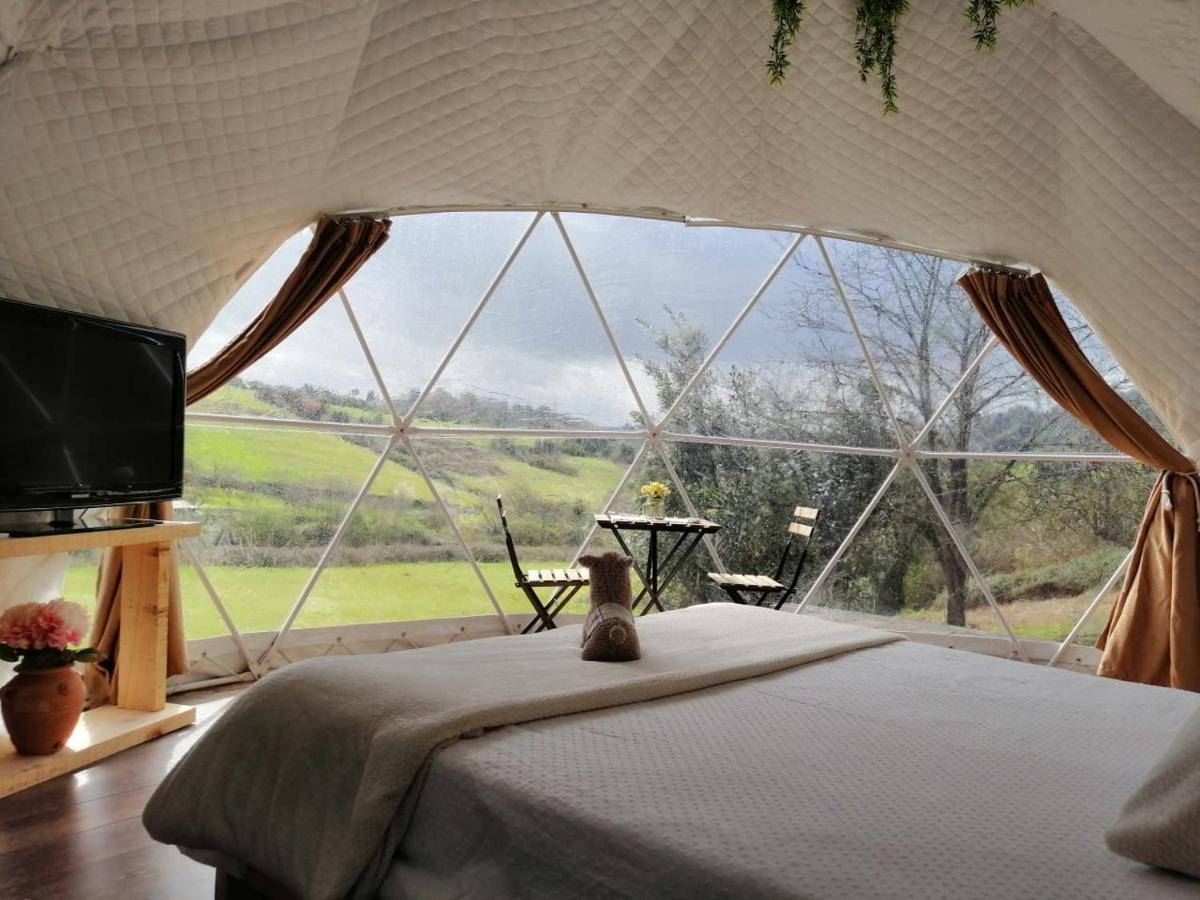 Glamping Quintana Hotell Gijón Exteriör bild