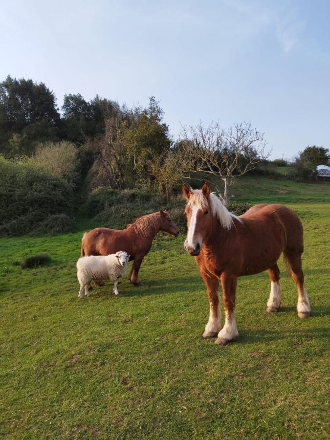 Glamping Quintana Hotell Gijón Exteriör bild