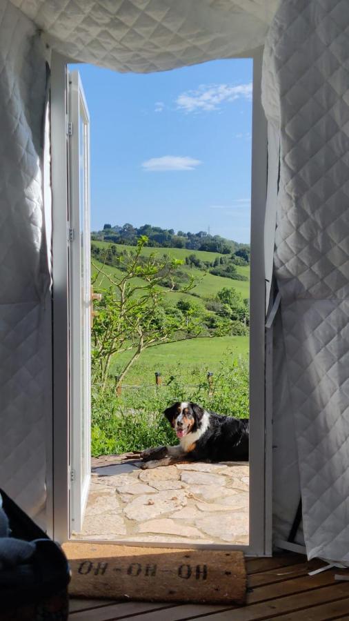 Glamping Quintana Hotell Gijón Exteriör bild